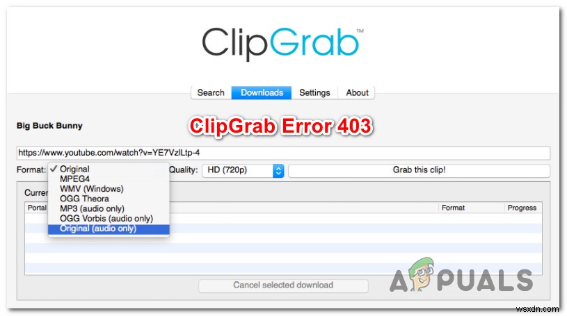 Windows・macOSでClipGrabの403エラーを解決する方法