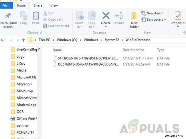 【解決済み】「Windows Hello互換カメラが見つかりません」エラーの対処法