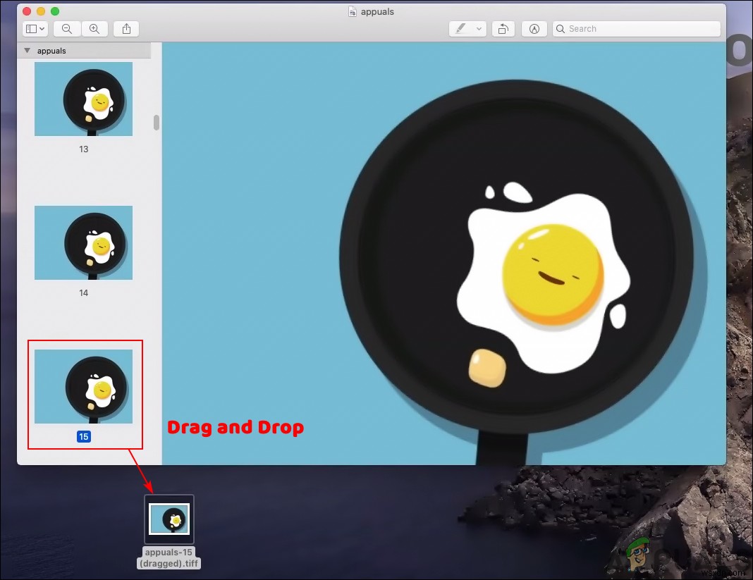 GIFをPNGに変換する3つの方法【オンライン・Photoshop・Mac】