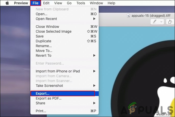 GIFをPNGに変換する3つの方法【オンライン・Photoshop・Mac】