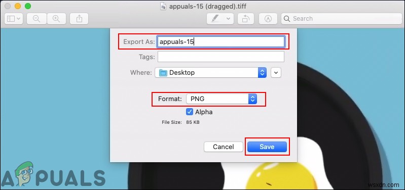 GIFをPNGに変換する3つの方法【オンライン・Photoshop・Mac】