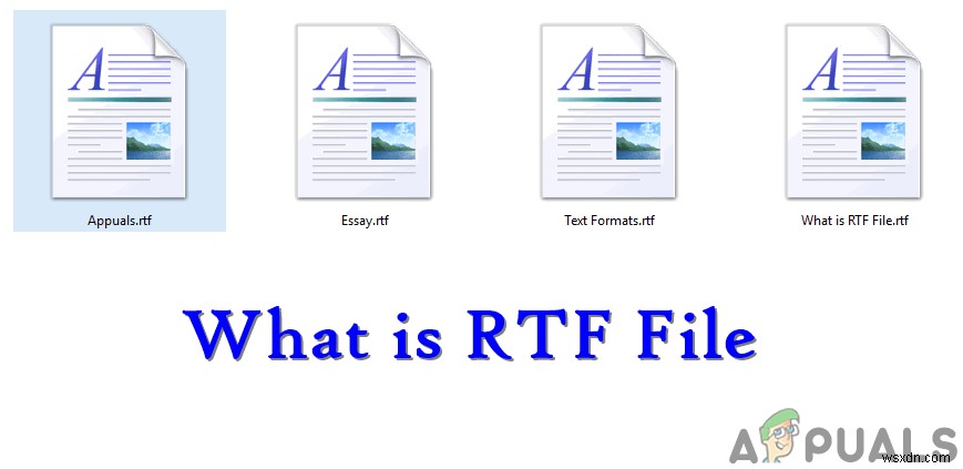 RTF(.rtf)ファイルとは?他のテキスト形式との違いを徹底解説