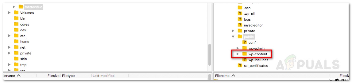 WordPressのデータベース接続エラーを解決する5つの対処法