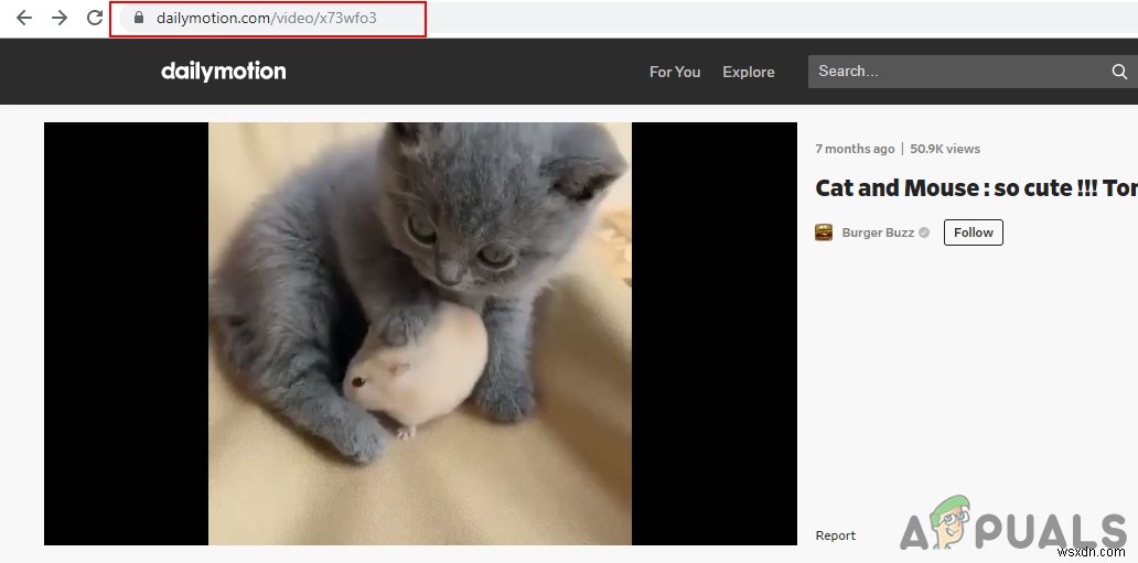 Dailymotion（デイリーモーション）動画のダウンロード方法を徹底解説！PC・Android対応
