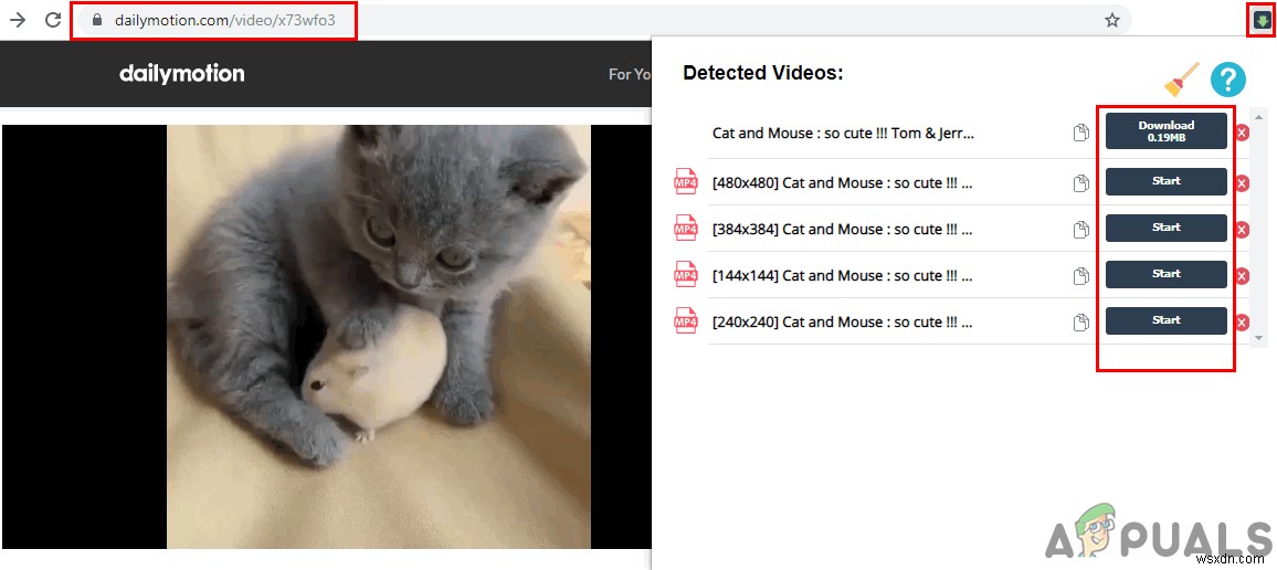 Dailymotion（デイリーモーション）動画のダウンロード方法を徹底解説！PC・Android対応
