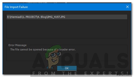 Adobe Premiereで「ヘッダーエラーが原因でファイルを開くことができない」エラーを解決する方法