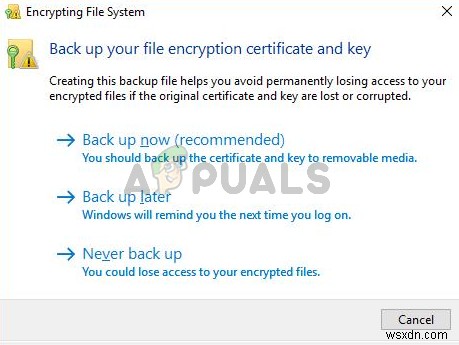 Windows 10で「暗号化ファイルシステム（EFS）」のポップアップが表示される原因と解決方法