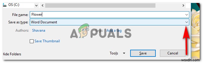 Word・ExcelファイルをPDFに変換する簡単な方法【保存手順を解説】