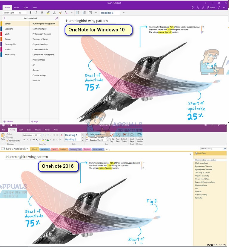 OneNote 2016のインストール方法｜Windows 10版OneNoteとの違いや独自機能を解説