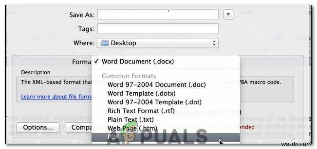 PagesファイルをDOC/DOCX形式に変換する4つの方法【Windows/Mac対応】