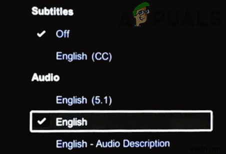 Netflixで音声と映像がずれる「音ズレ」問題を解決する方法【全プラットフォーム対応】
