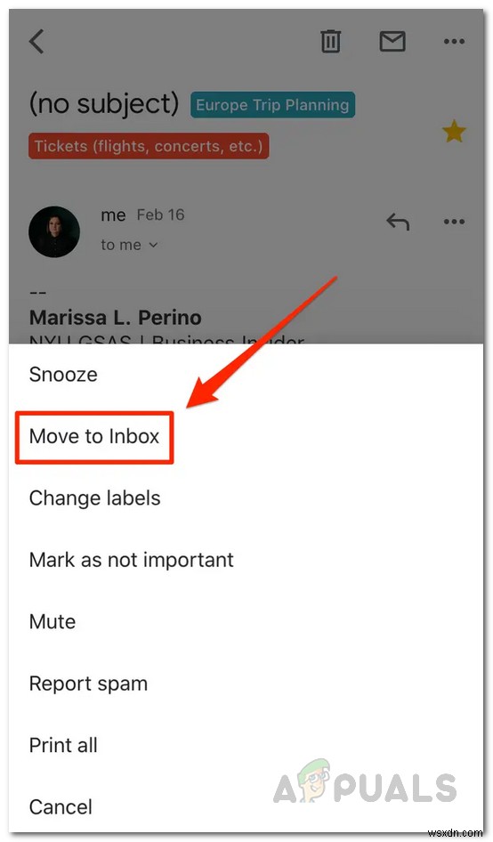 Gmailのメールをアーカイブ解除する方法！PC・スマホ別の手順を徹底解説
