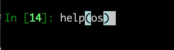 Bashの代わりにPythonを使おう——コマンドライン言語として頼れる相棒にする方法