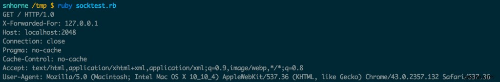 Unicornはどのようにnginxと通信するのか?Rubyで学ぶUNIXソケットの基礎
