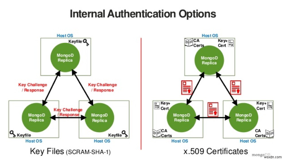 MongoDBセキュリティ強化の10のコツ：データベースを脅威から守るための基本対策