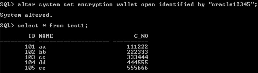 透過的データ暗号化（TDE）を使用してOracleデータベースを保護する方法