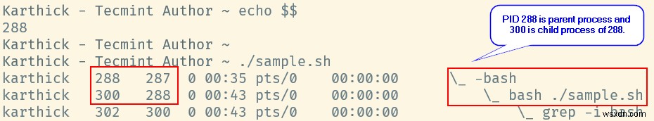 Bashの特殊変数「$$」と「$BASHPID」の違いを徹底解説
