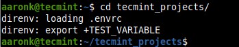 direnv – Linuxでプロジェクト固有の環境変数をスマートに管理する方法