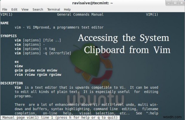 【Vim】ターミナルから複数インスタンス間でクリップボードの内容を共有・アクセスする方法