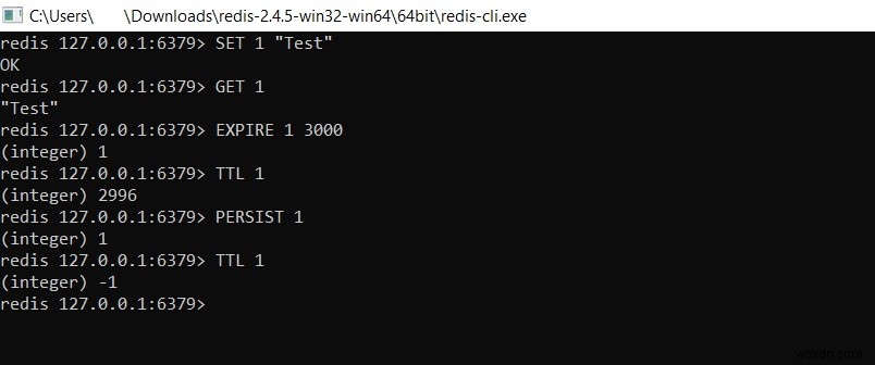 Redis PERSISTコマンド徹底解説 – キーの有効期限を削除して永続化する方法