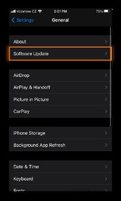 iPhone・iPadからウイルスを完全に削除する方法
