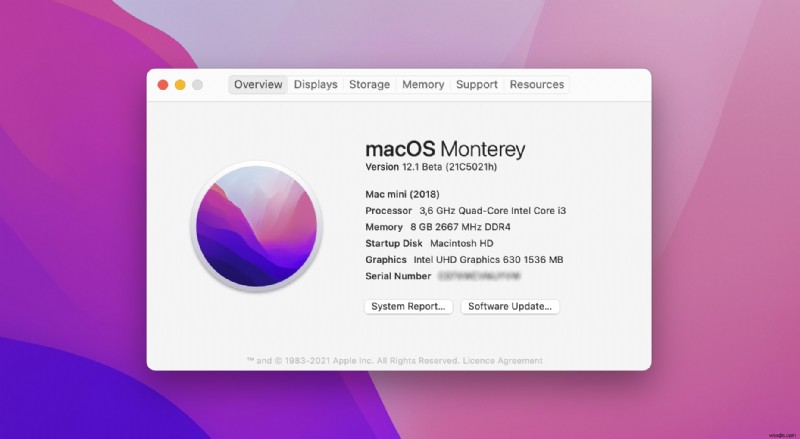 macOS Montereyアップデート後に失われたファイルを復元する方法