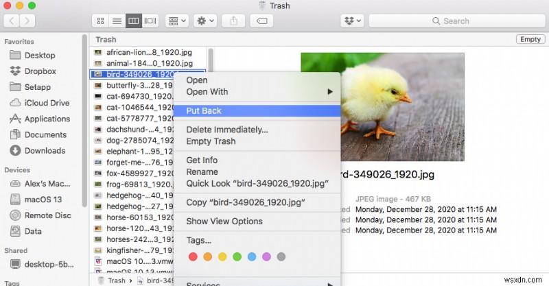 MacのPhoto Boothで削除した写真・動画を復元する3つの方法