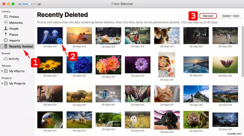 Macで完全に削除された写真を復元する方法|状況別の対処法を徹底解説