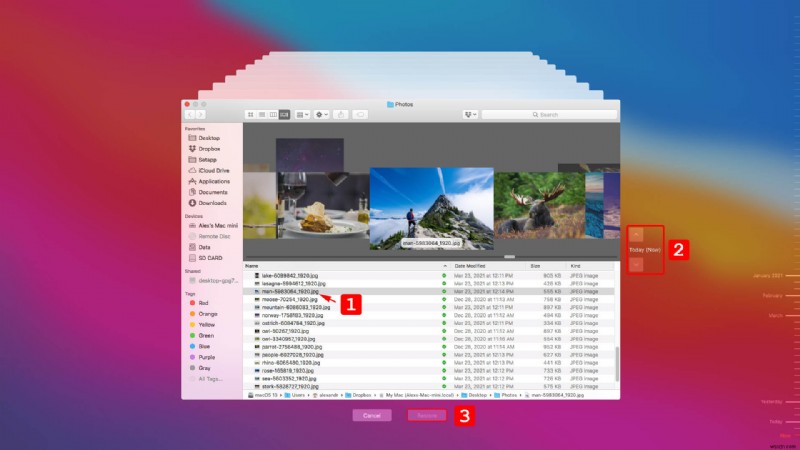 Macで完全に削除された写真を復元する方法|状況別の対処法を徹底解説