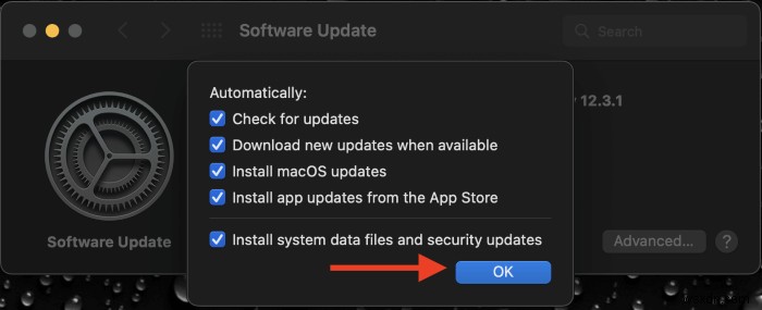 MacBook Proのアップデート方法｜手動・自動アップデートの手順を徹底解説