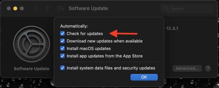 MacBook Proのアップデート方法｜手動・自動アップデートの手順を徹底解説