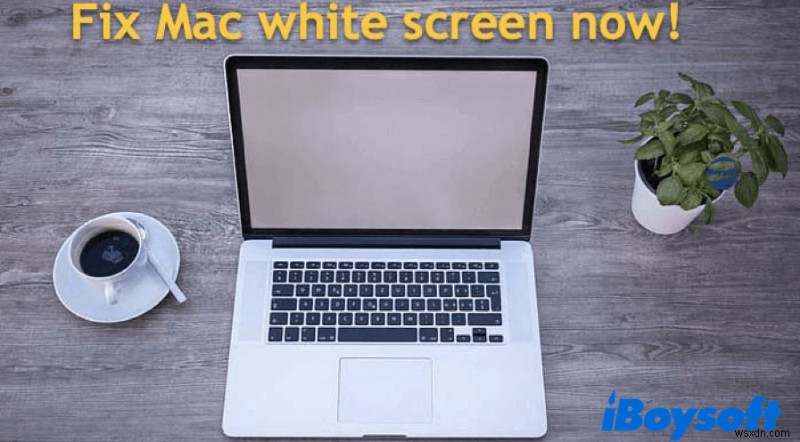 Macが起動時に白い画面(ホワイトスクリーン)になる原因と解決方法
