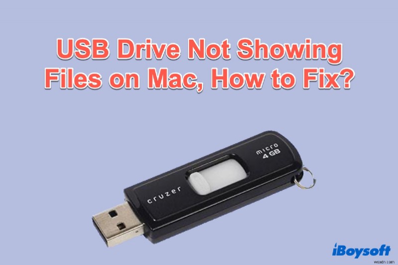 MacでUSBメモリのファイルが表示されないときの対処法|データ復旧から修復まで完全ガイド