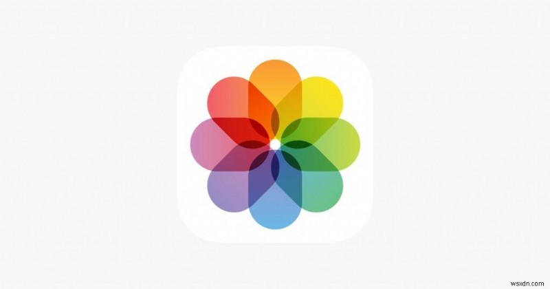 Macで写真が消えたときの対処法：フォトライブラリの復元方法を徹底解説