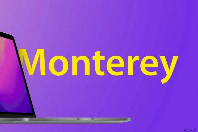 macOS Monterey 12.4のインストールが進まないときの対処法|原因別の解決策を徹底解説