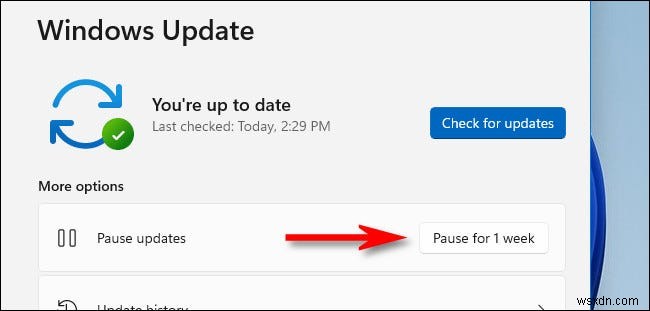 Windows 11の自動更新を停止する5つの方法|一時停止から完全無効化まで