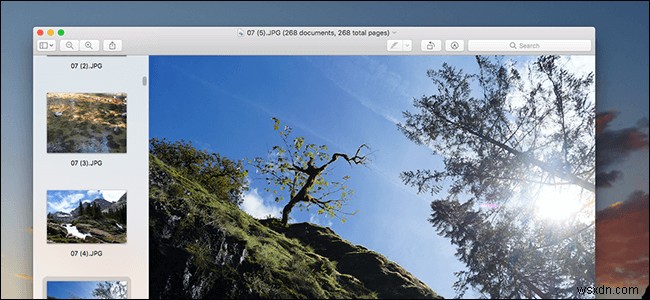 Macでスライドショーを作成する方法を徹底解説！初心者でも簡単にできる4つの方法