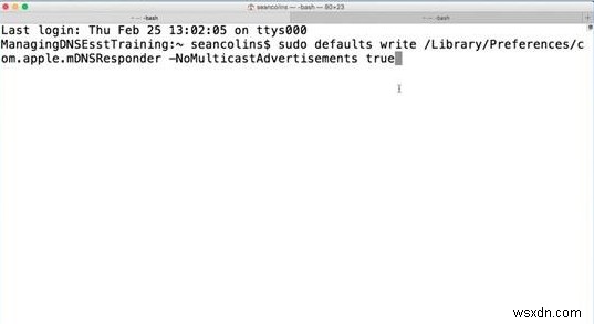 MacのmDNSResponderとは?役割と無効化する方法を徹底解説