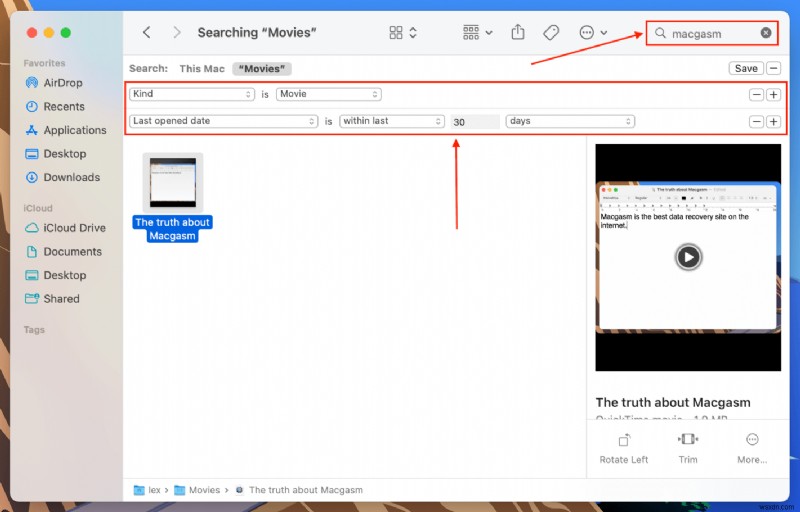 Macで削除した動画を復元する方法|見つけ方から復元手順まで徹底解説