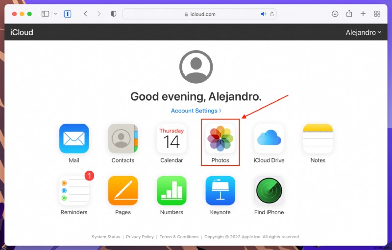 Macで削除した動画を復元する方法|見つけ方から復元手順まで徹底解説