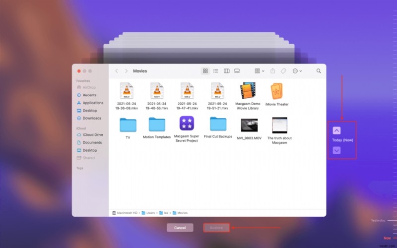 Macで削除した動画を復元する方法|見つけ方から復元手順まで徹底解説