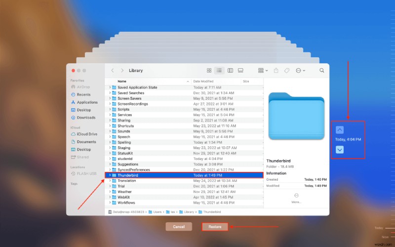 削除されたThunderbirdメールをMacで復元する完全ガイド|原因別の対処法を徹底解説