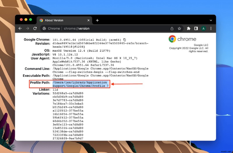 MacでGoogle Chromeから削除されたブックマークを復元する方法【初心者向け完全ガイド】