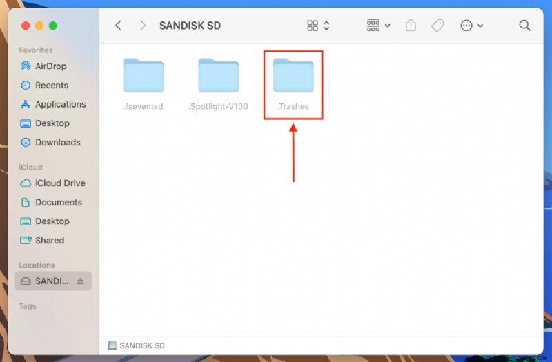 MacでSDカードから削除されたファイルを復元する方法【初心者向け完全ガイド】