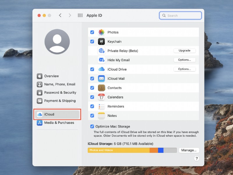 Macのストレージ容量を確認して空き容量を増やす方法を徹底解説