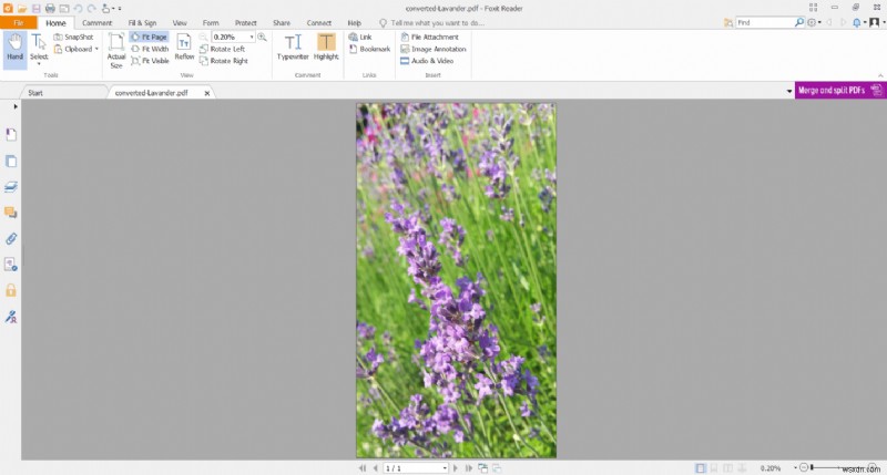 HEICをPDFに無料で変換する3つの方法｜GIMP・Foxit Reader・オンラインツール徹底解説