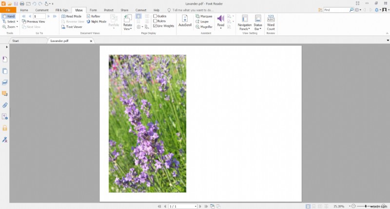 HEICをPDFに無料で変換する3つの方法｜GIMP・Foxit Reader・オンラインツール徹底解説