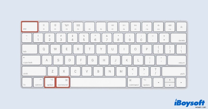 Macでアプリを強制終了する方法｜応答しないアプリを閉じる4つの手順と対処法