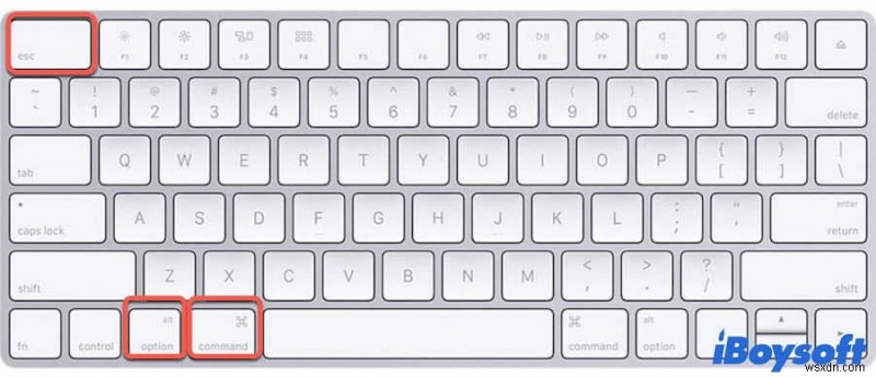 Macで強制終了ができないときの対処法|フリーズしたアプリを確実に終了させる方法