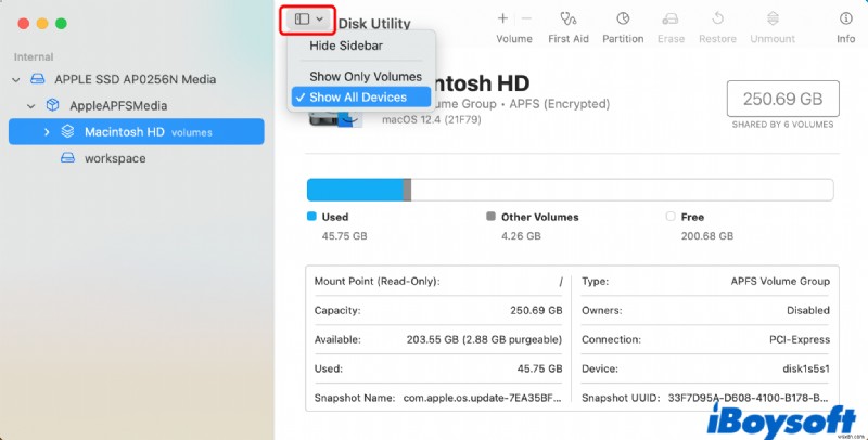【完全ガイド】Macの内蔵・外付けドライブのAPFSボリュームを消去する手順